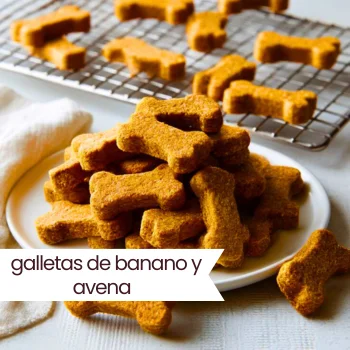 Copia de Copia de brownie fudgy tradicional (9)